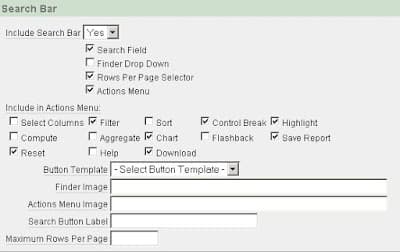 Quickly Modify APEX Interactive Report Options